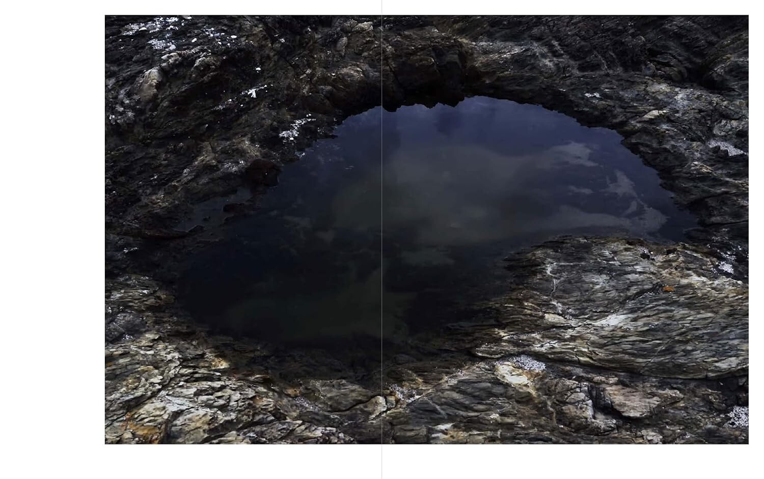JINEN – Photographer Yu Yamauchi Art Book – 9 Years in Yakushima’s Forests
