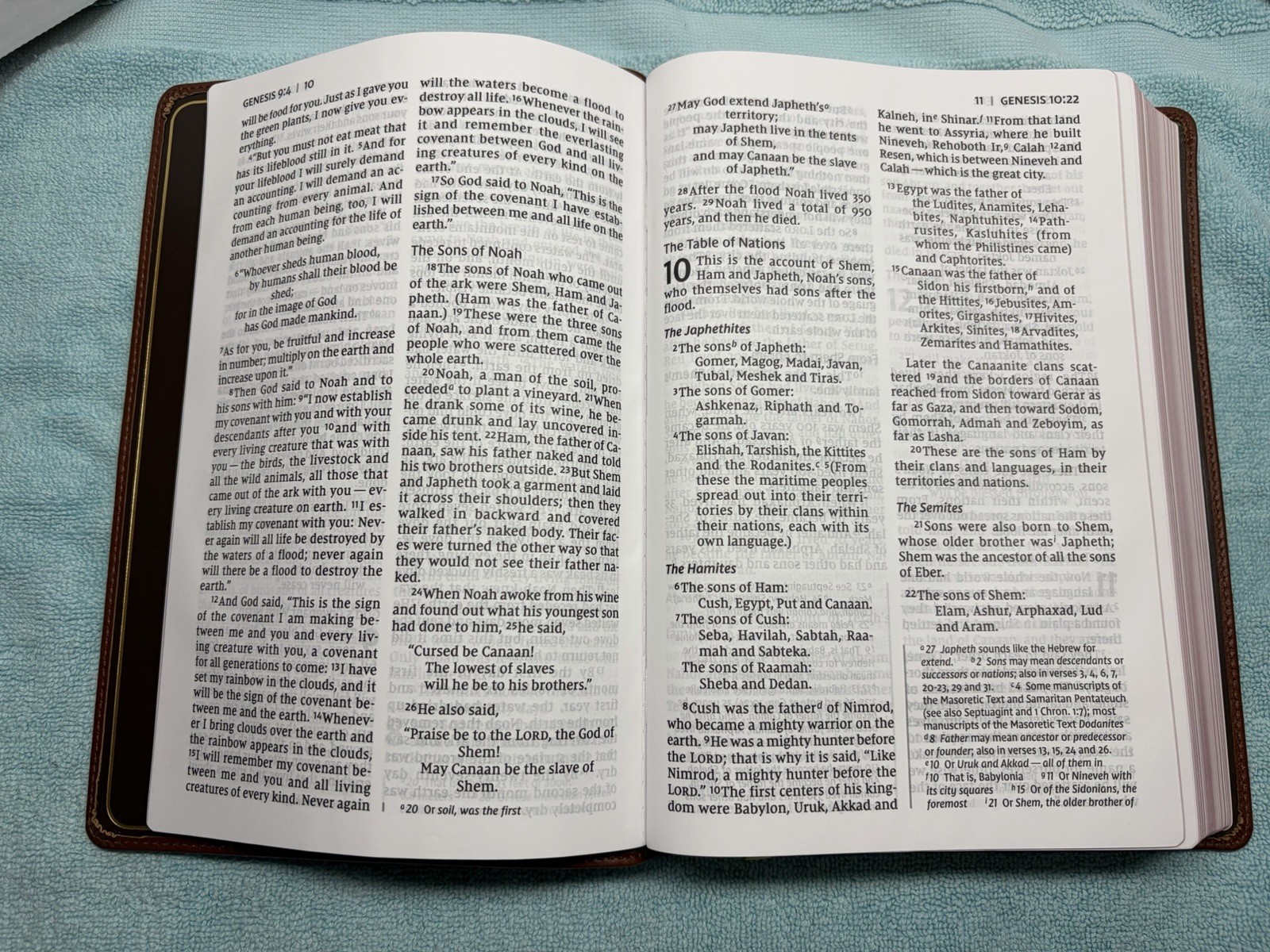 NIV Thinline Bible, Giant Print, Genuine Leather, Buffalo, Red Letter Edition