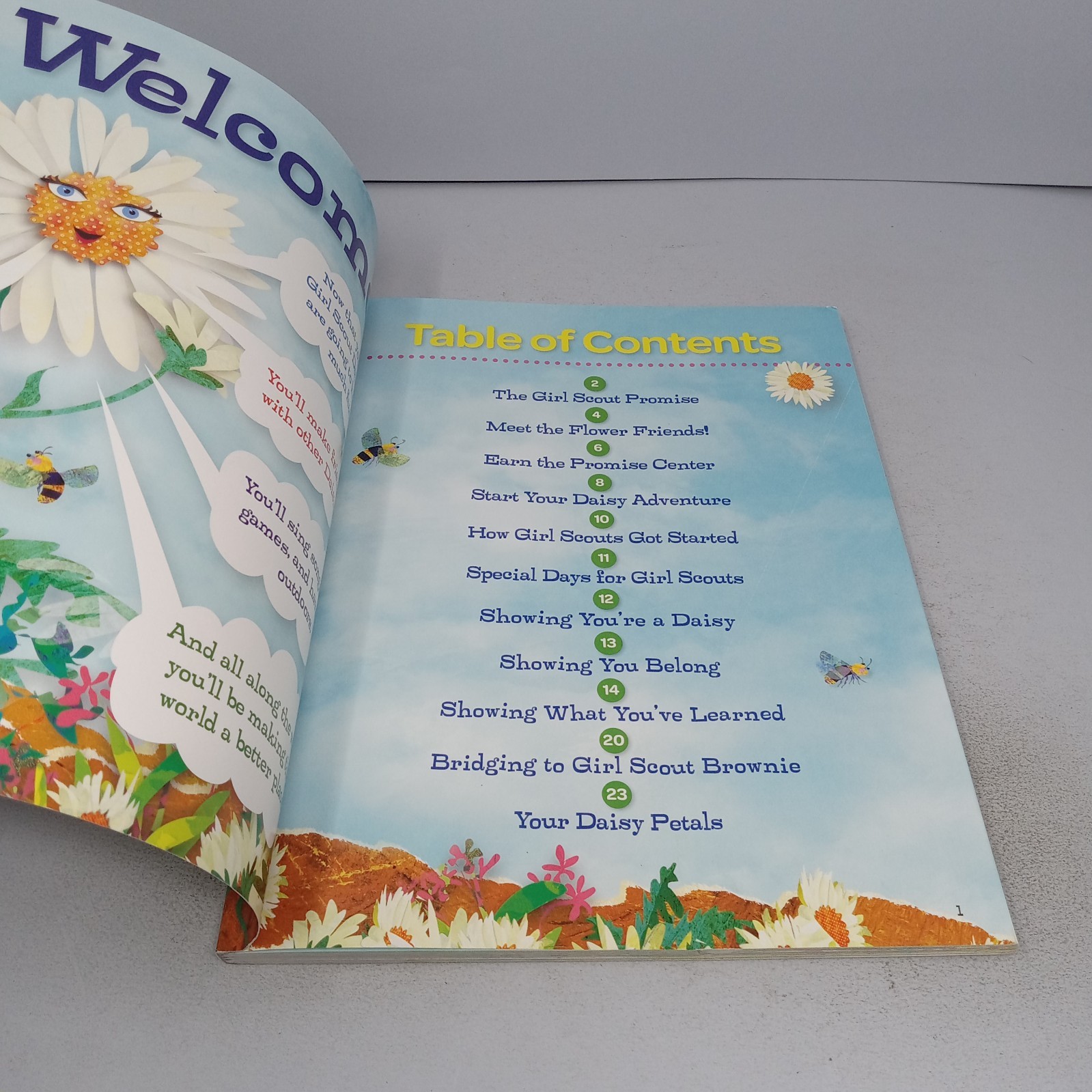 Girl Scout Daisy Handbook Paperback by Girl Scouts of the USA