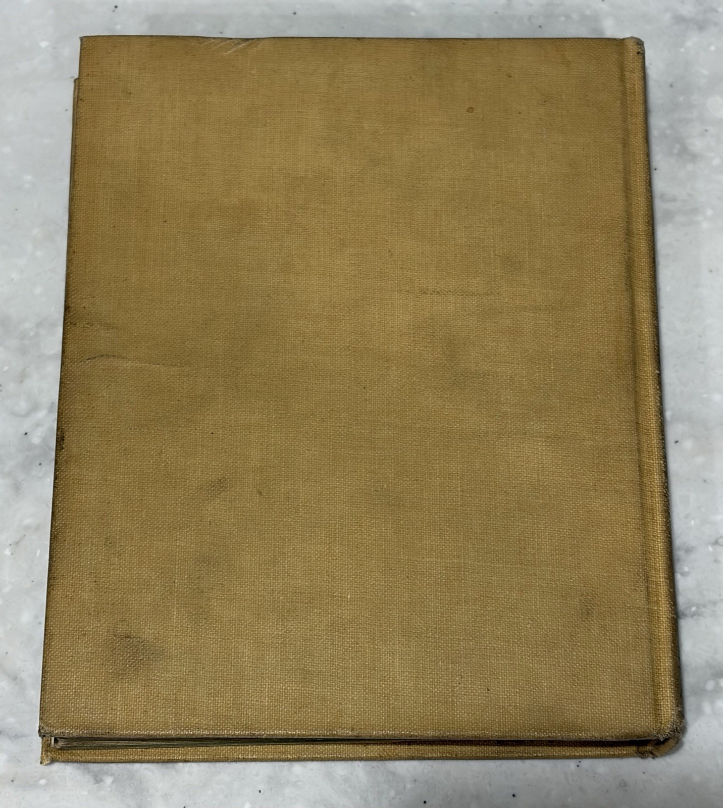Through the Looking Glass Illustrated 1897 Antique Book Alice In Wonderland