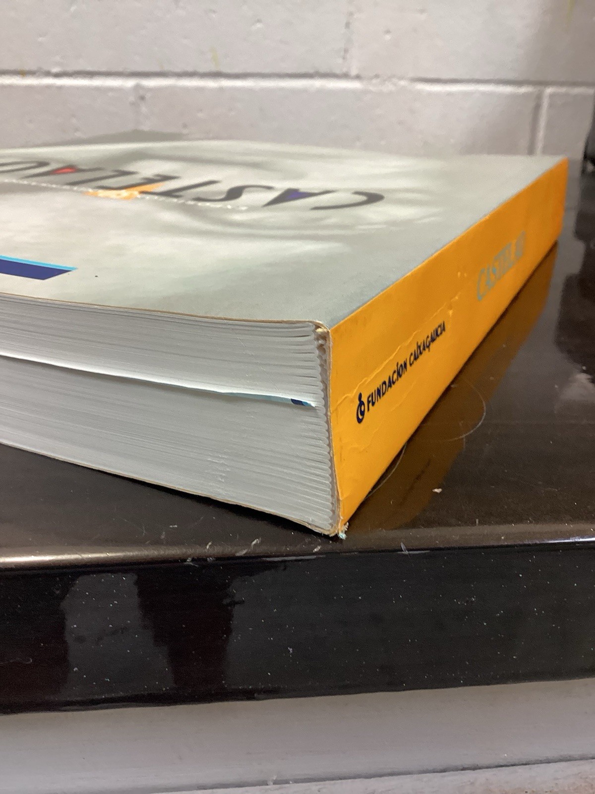 CASTELAO/50 ANIVERSARIO/G COND PB/ART BOOK FULL COLOR