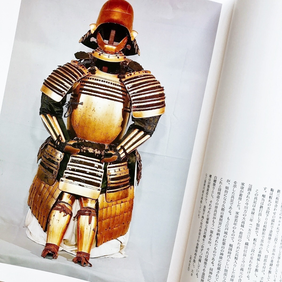 Large-scale illustrated book A complete collection of Japan’s important cultural