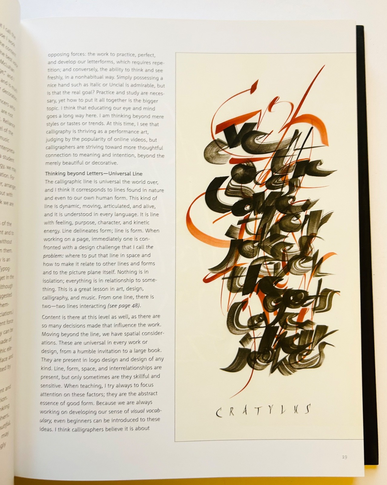 Scribe: Artist of the Written Word, John Stevens HCDJ RARE out of print