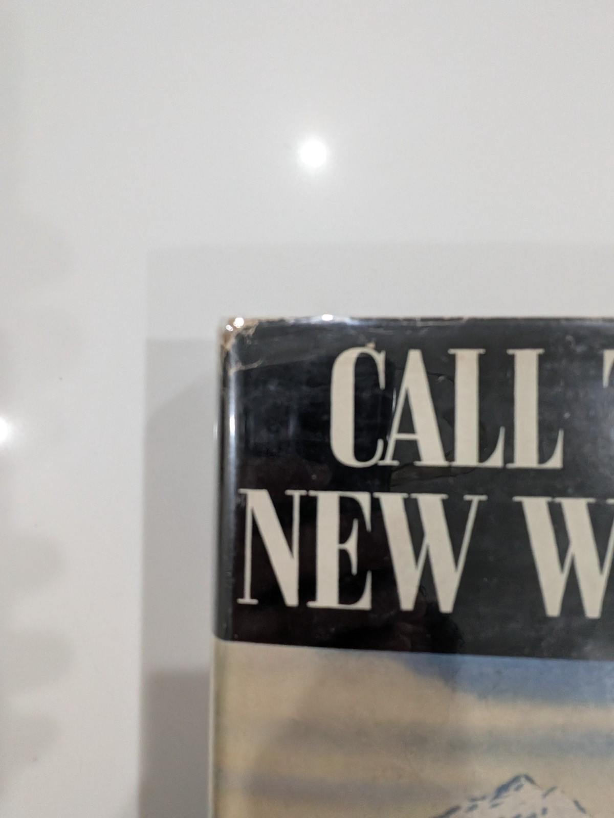 Call the New World – John Jennings | 1941 | Macmillan – 1st Printing w/ DJ