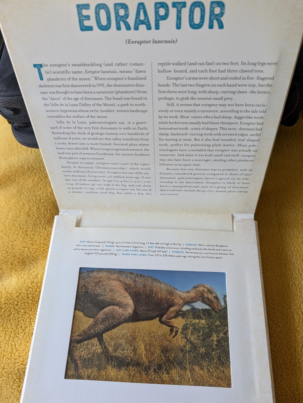 Dinosaur : A Photicular Book by Kathy Wollard & Dan Kainen education NF Science