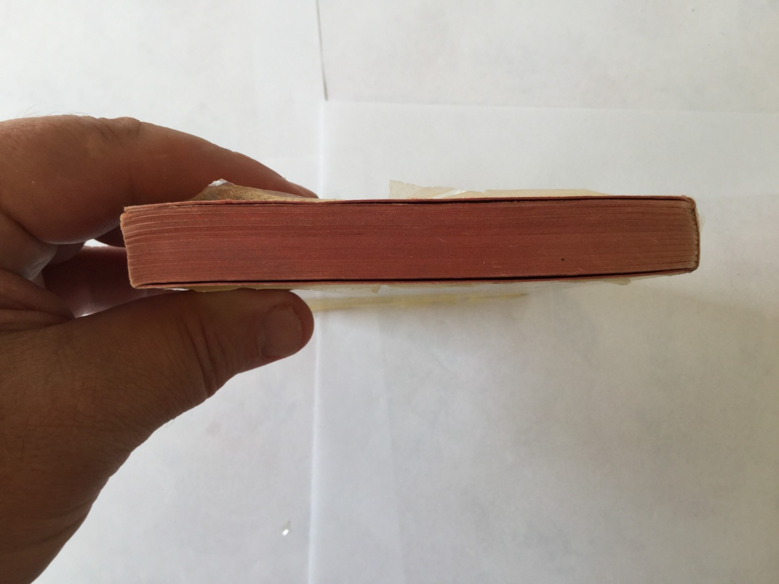 The Green Bay Tree Louis Bromfield Pocket Books 1949 P/B