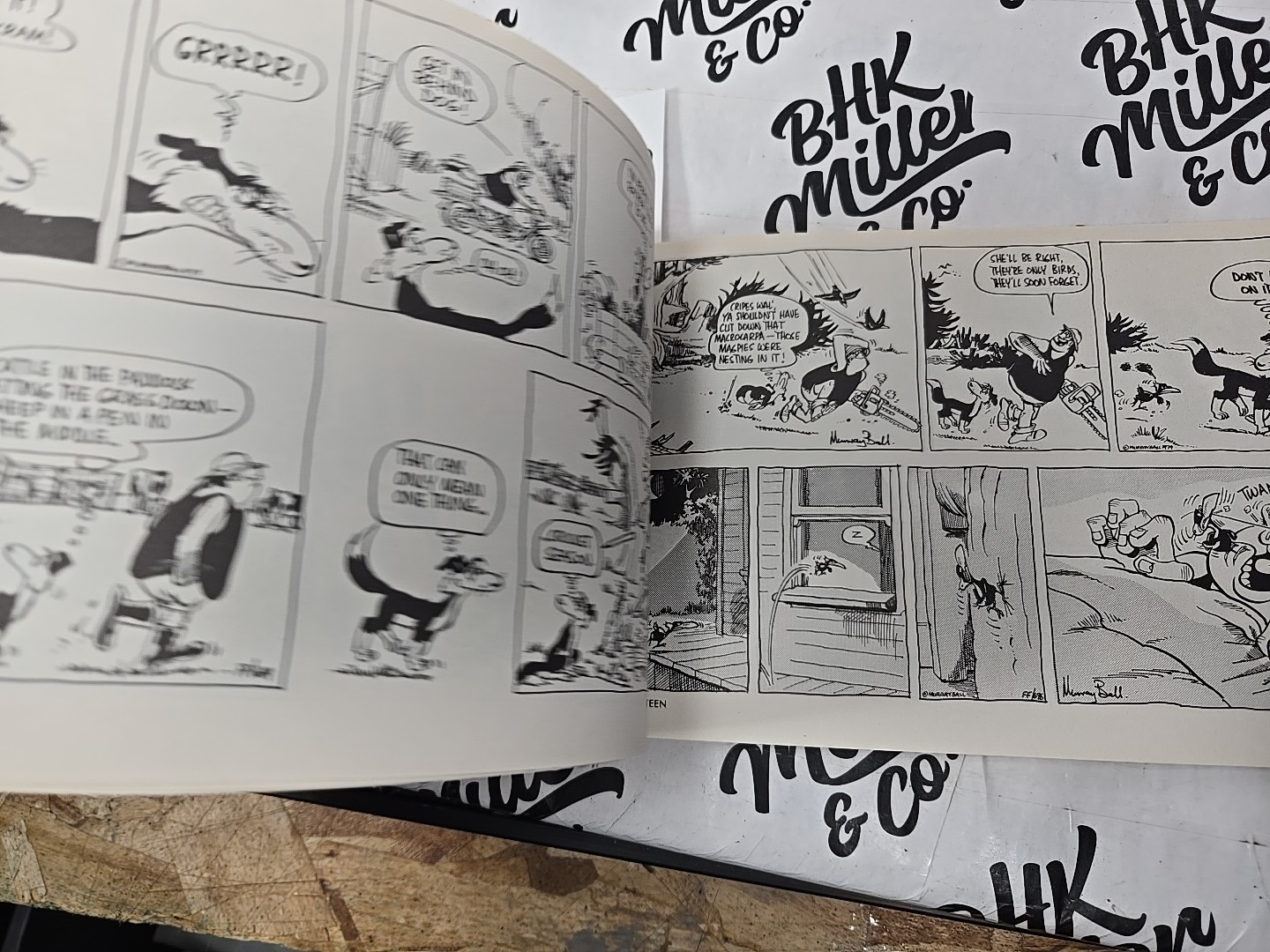 FOOTROT FLATS By Murray Ball. (Foreword By Charles Schulz) ,1992