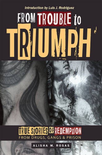 From Trouble to Triumph: True Stories of Redemption from Drugs, Gang – VERY GOOD