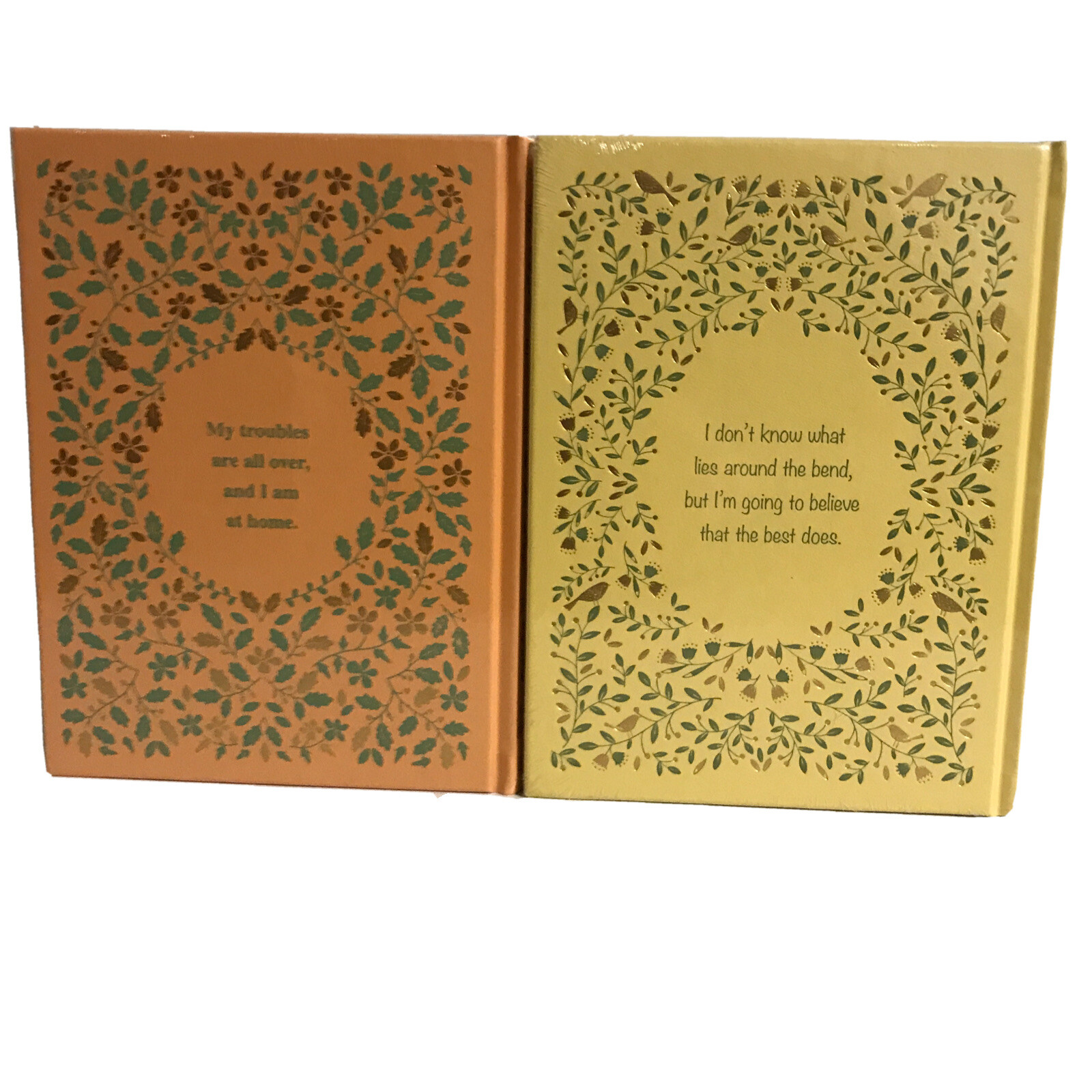 ❤️ SET of 2 BLACK BEAUTY and ANNE of GREEN GABLES Leather Bound Classics NEW