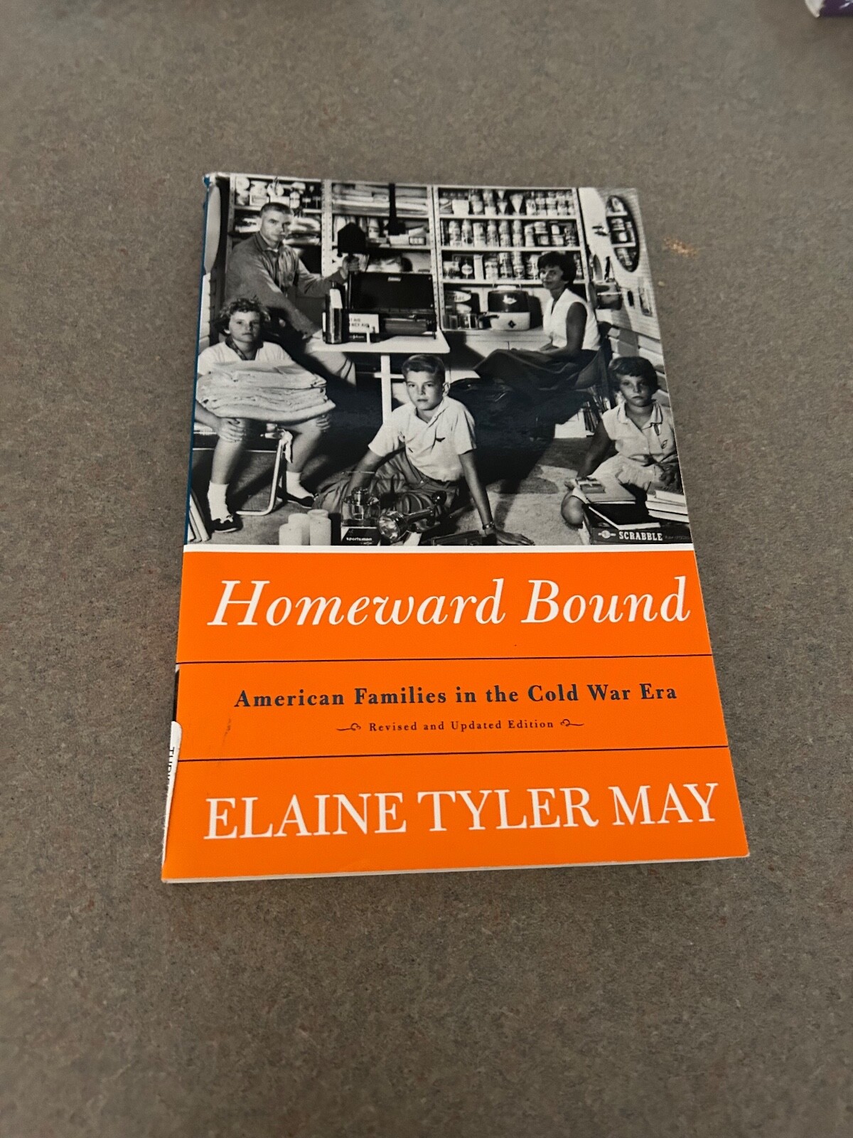 Homeward Bound: American Families in the Cold War Era by Elaine Tyler May