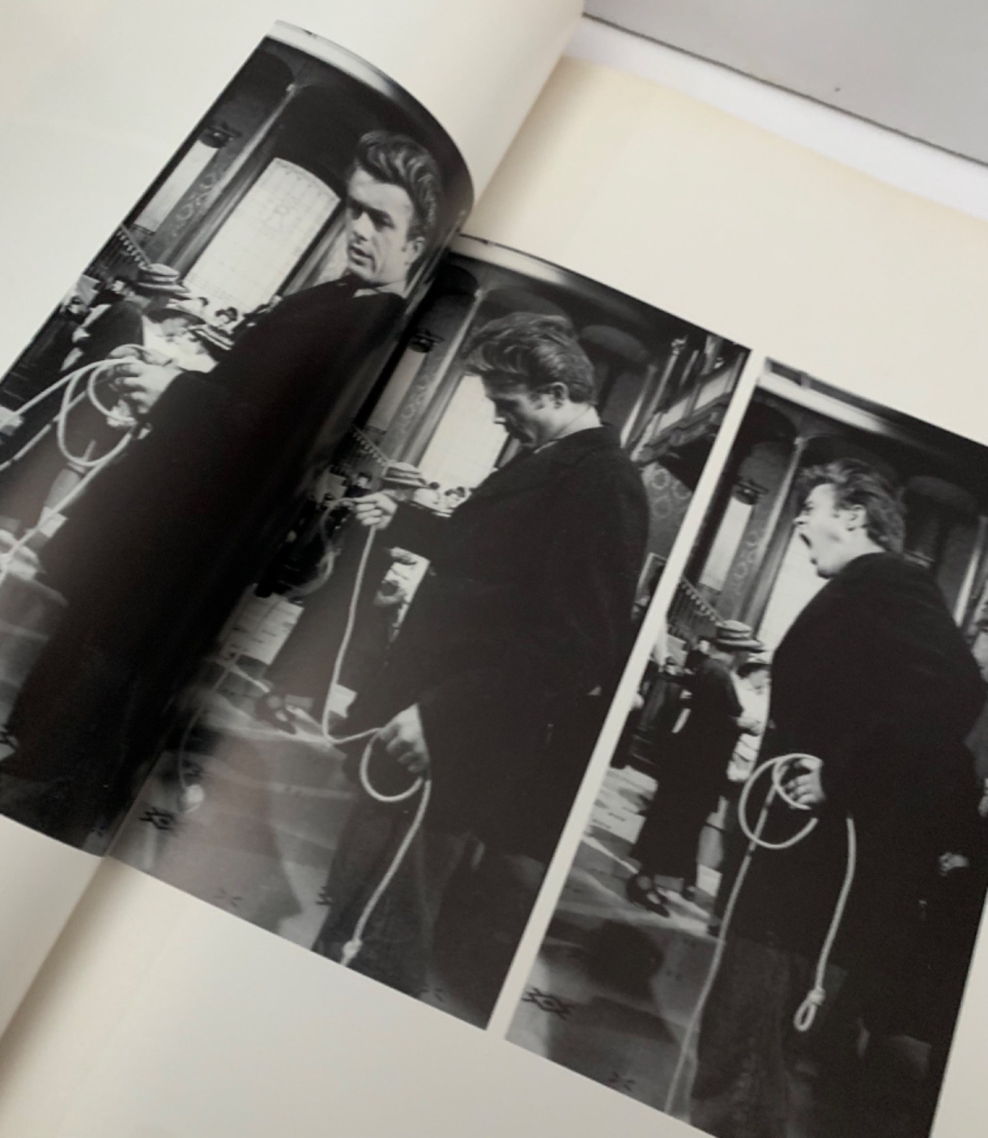 JAMES DEAN SANFORD ROTH 1983 LARGE ILLUSTRATED PHOTOGRAPHIC BOOK HOLLYWOOD FILM