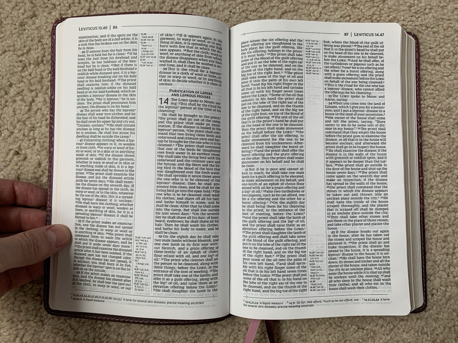 1989 NRSV Thinline Reference Bible LeatherSoft Pink OOP New Revised Standard