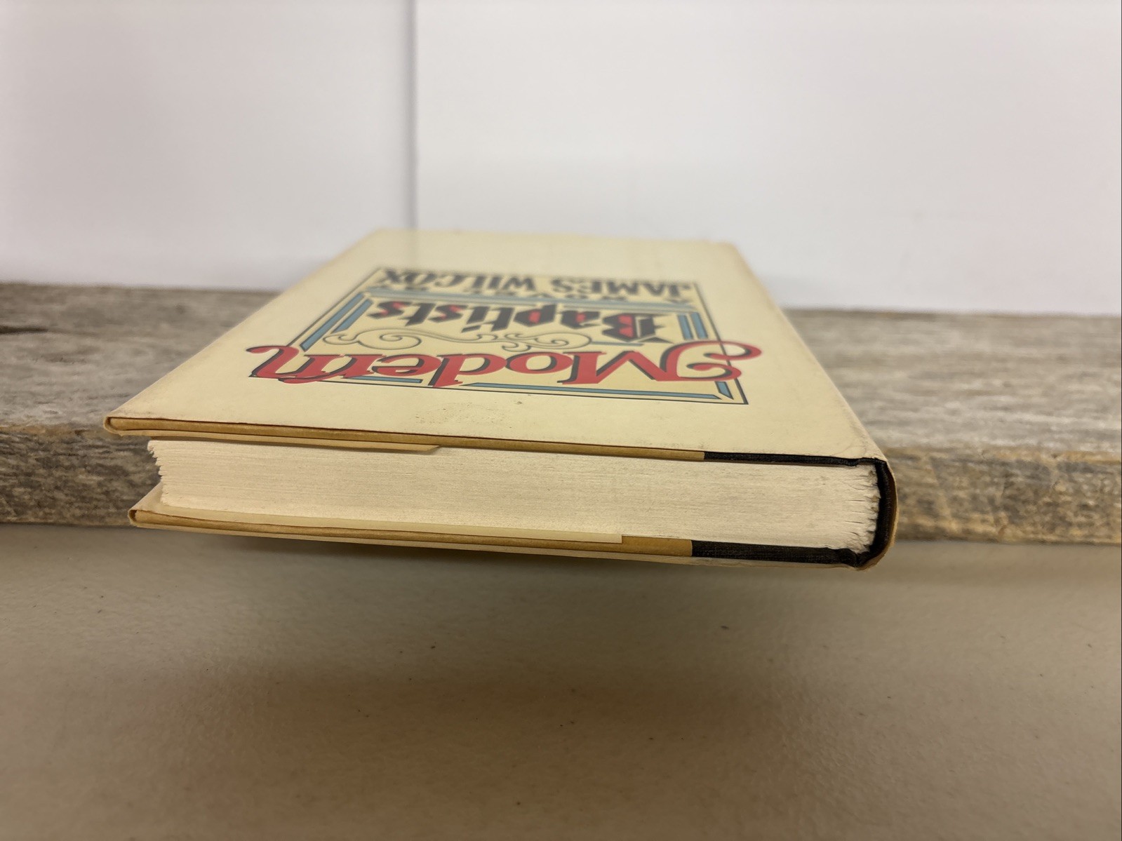 Modern Baptists by James Wilcox Dial Press First Printing 1983 Vintage Hardcover