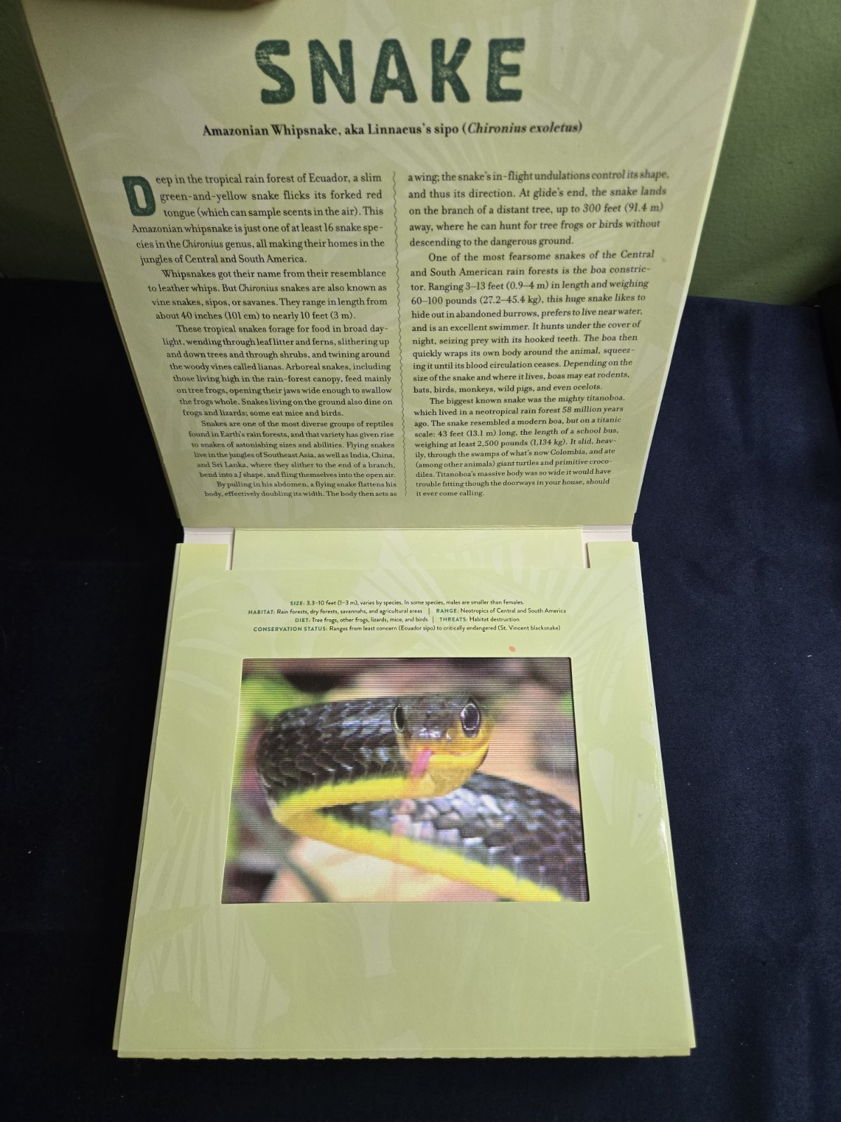 Jungle & Polar: A Photicular Book / Kathy Wollard / Dan Kainen (2016, Hardcover)