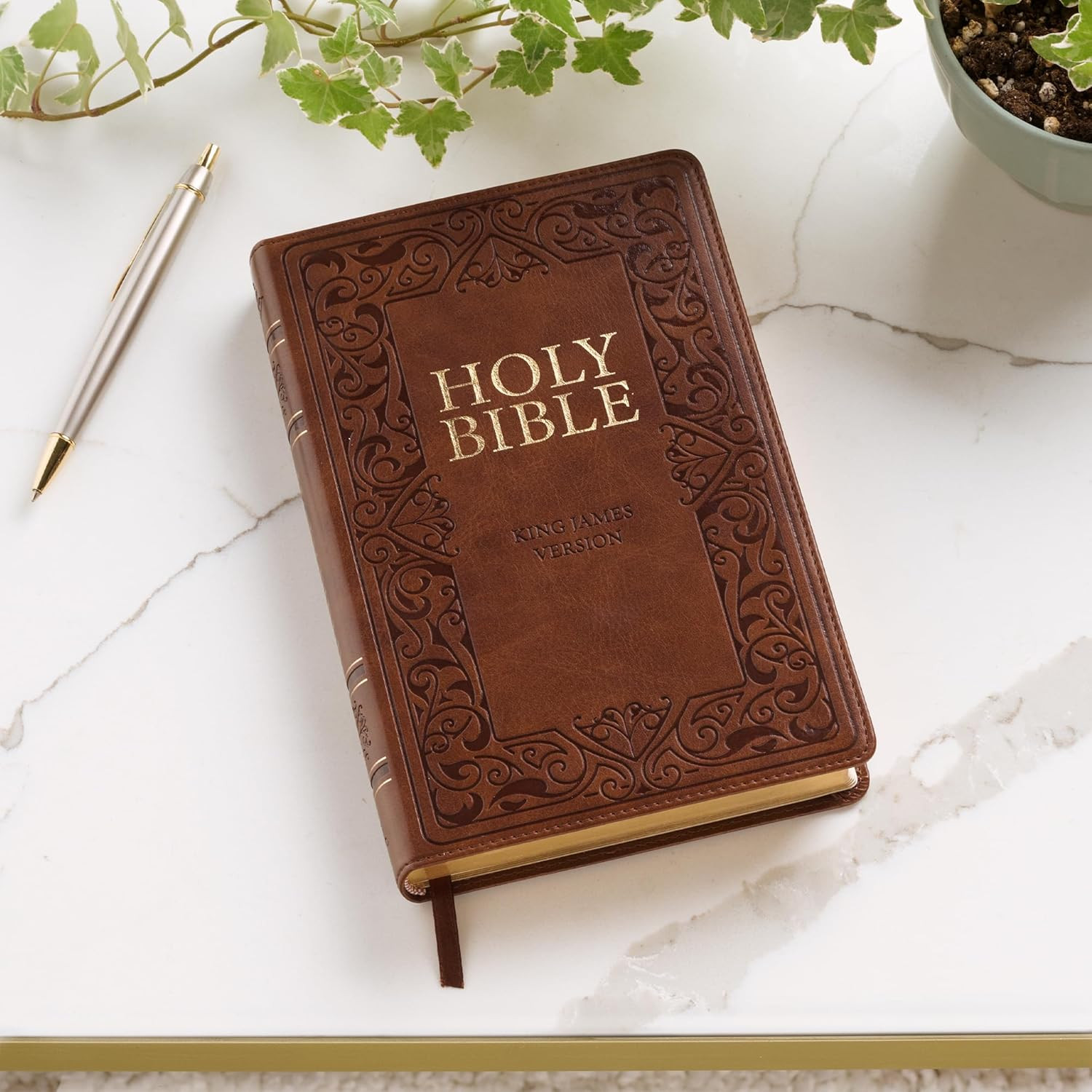 KJV Holy Bible, Standard Size Faux Leather Red Letter Edition Thumb Index & Ribb