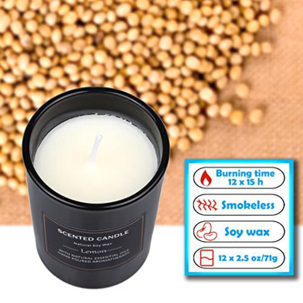 12 Pack Scented Candles Gift Set 2.5oz Aromatherapy Candle Soy