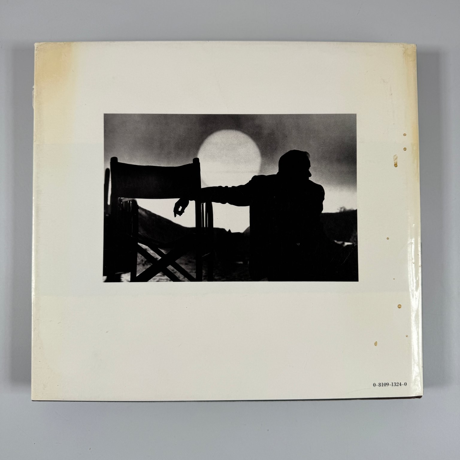 Lights, Camera, Action! Louis Goldman 1986 Illustrated Film Photography Abrams