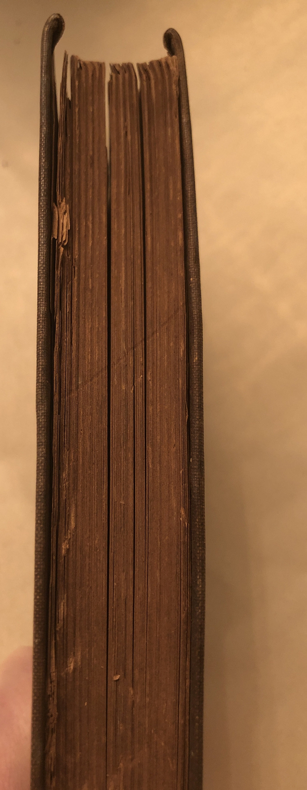 Black Beauty 254 pages 6″ x 4 1/4″ Book Sewell
