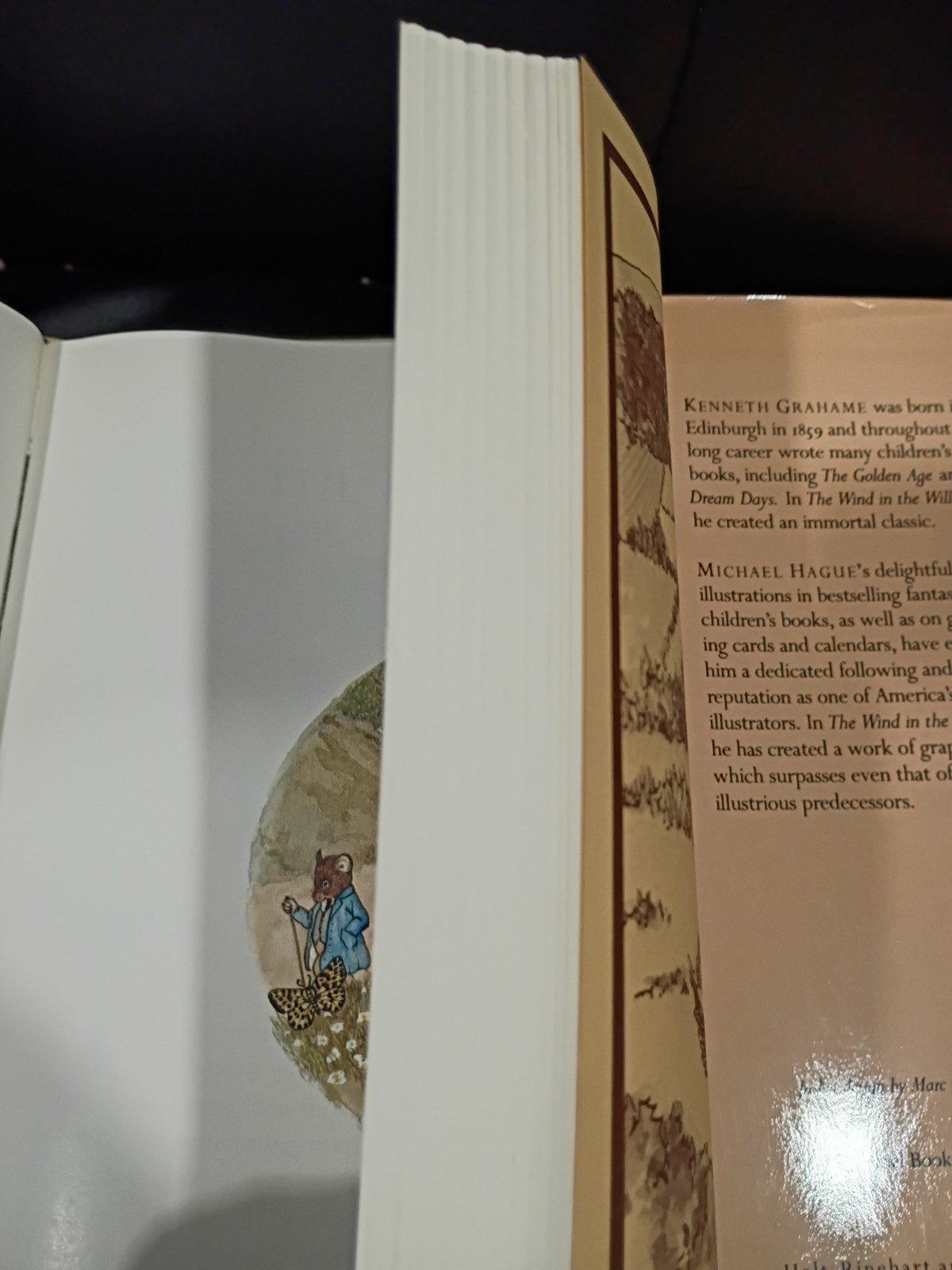 1980 The Wind in the Willows 1st Ed w/ Dust Jacket Kenneth Grahame Michael Hague