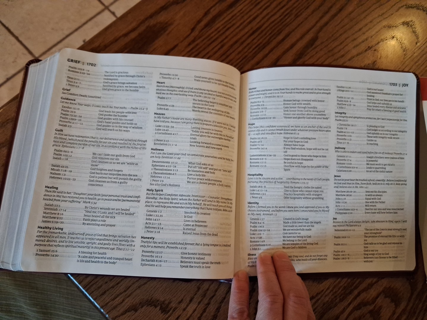 Amplified Bible XL Edition ~Retail $52.99~ Burgundy Leathersoft LARGE PRINT 12.5