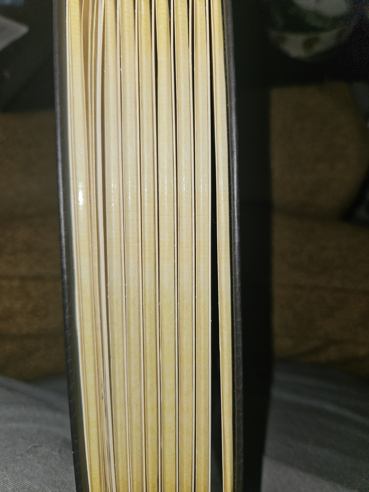 Dan Kainen Carol Kaufmann Safari: A Photicular Book HC Workman 1st Ed 2012