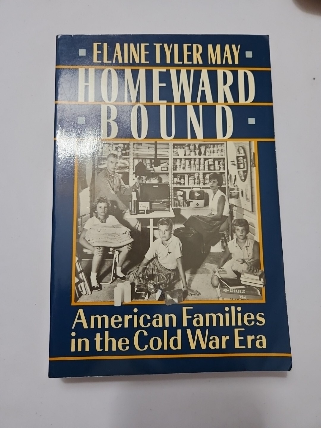 Homeward Bound : American Families in the Cold War Era by Elaine Tyler May (PB)