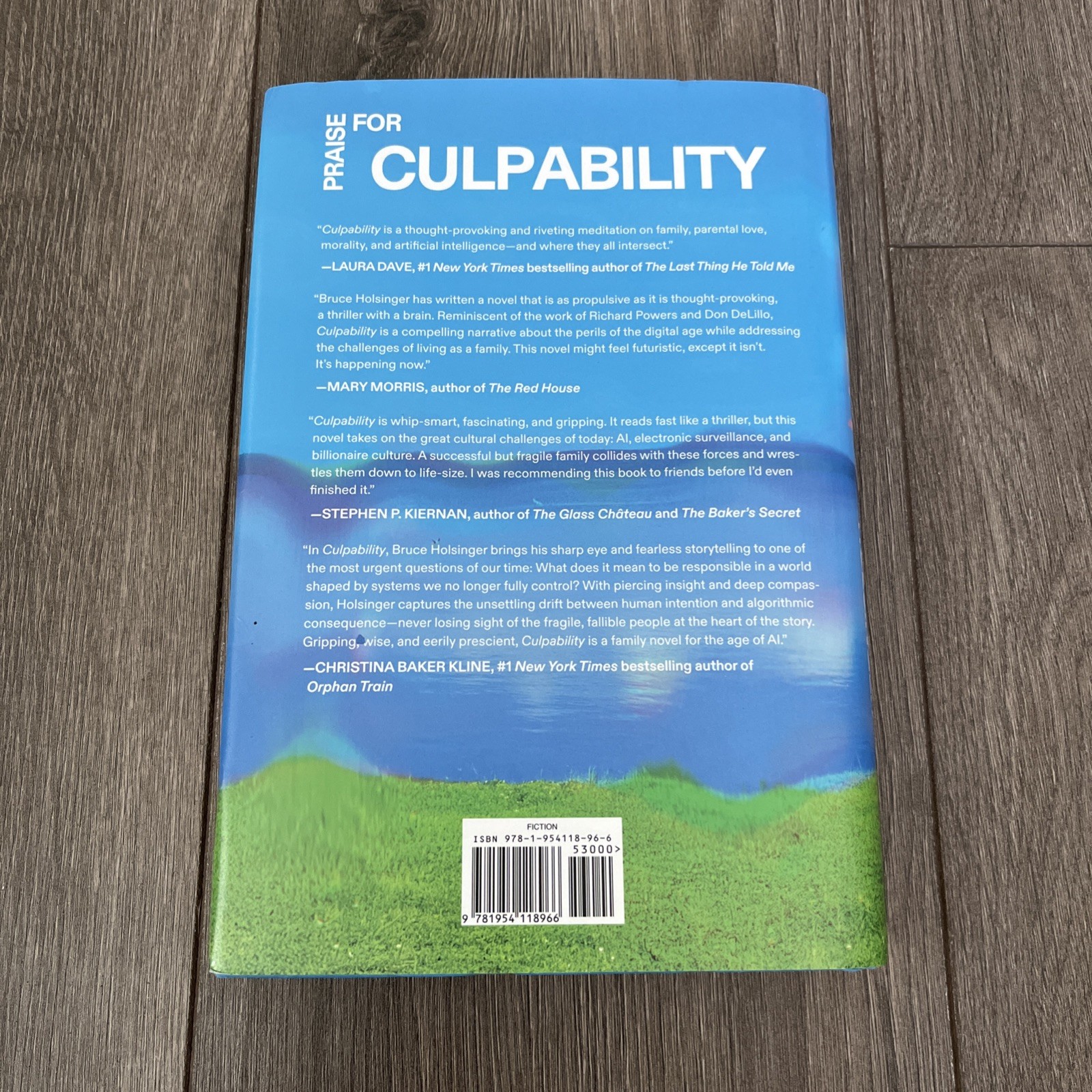 Culpability (Oprah’s Book Club) : A Novel by Bruce Holsinger (2025, Hardcover)