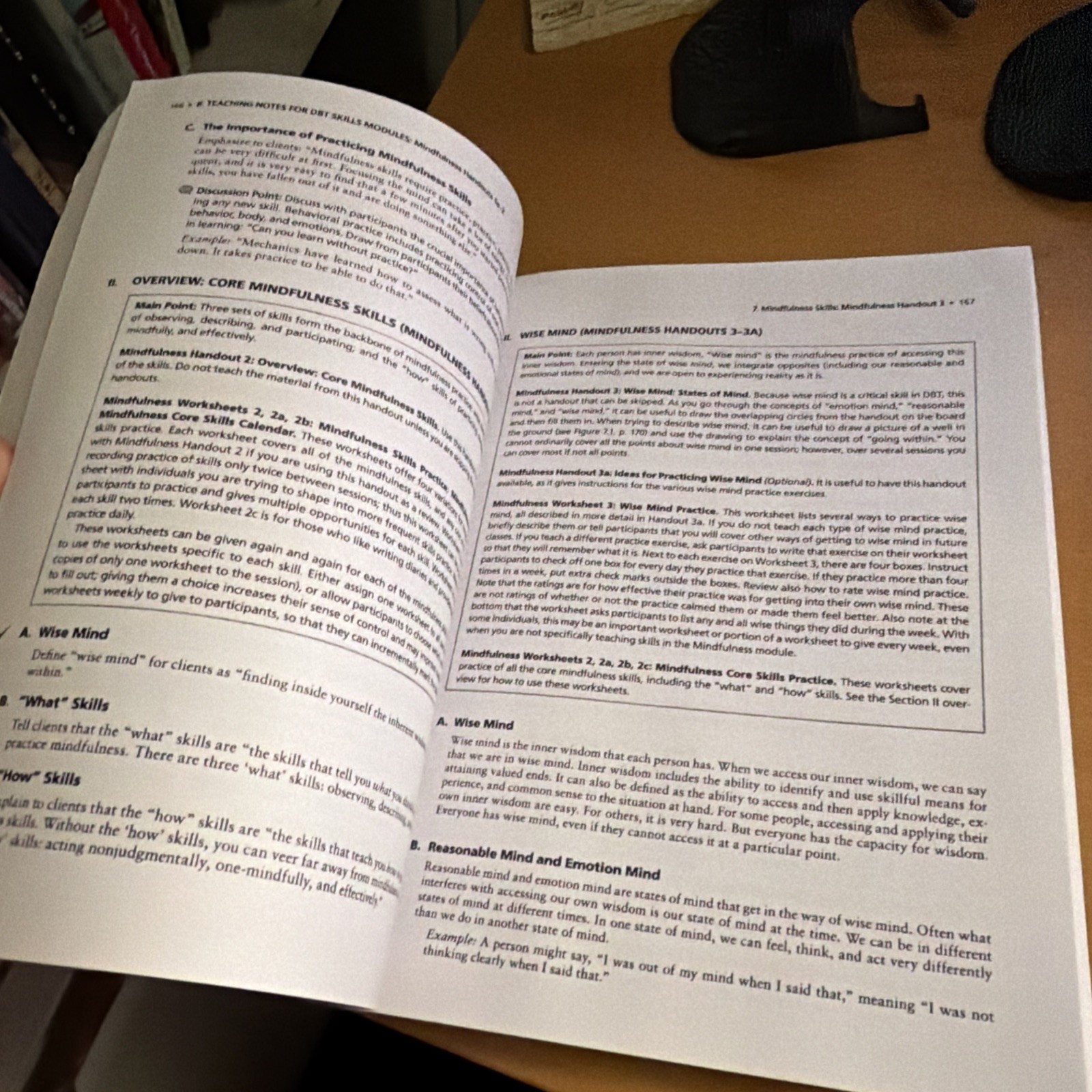 DBT Skills Training Manual, Second Edition by Marsha M. Linehan