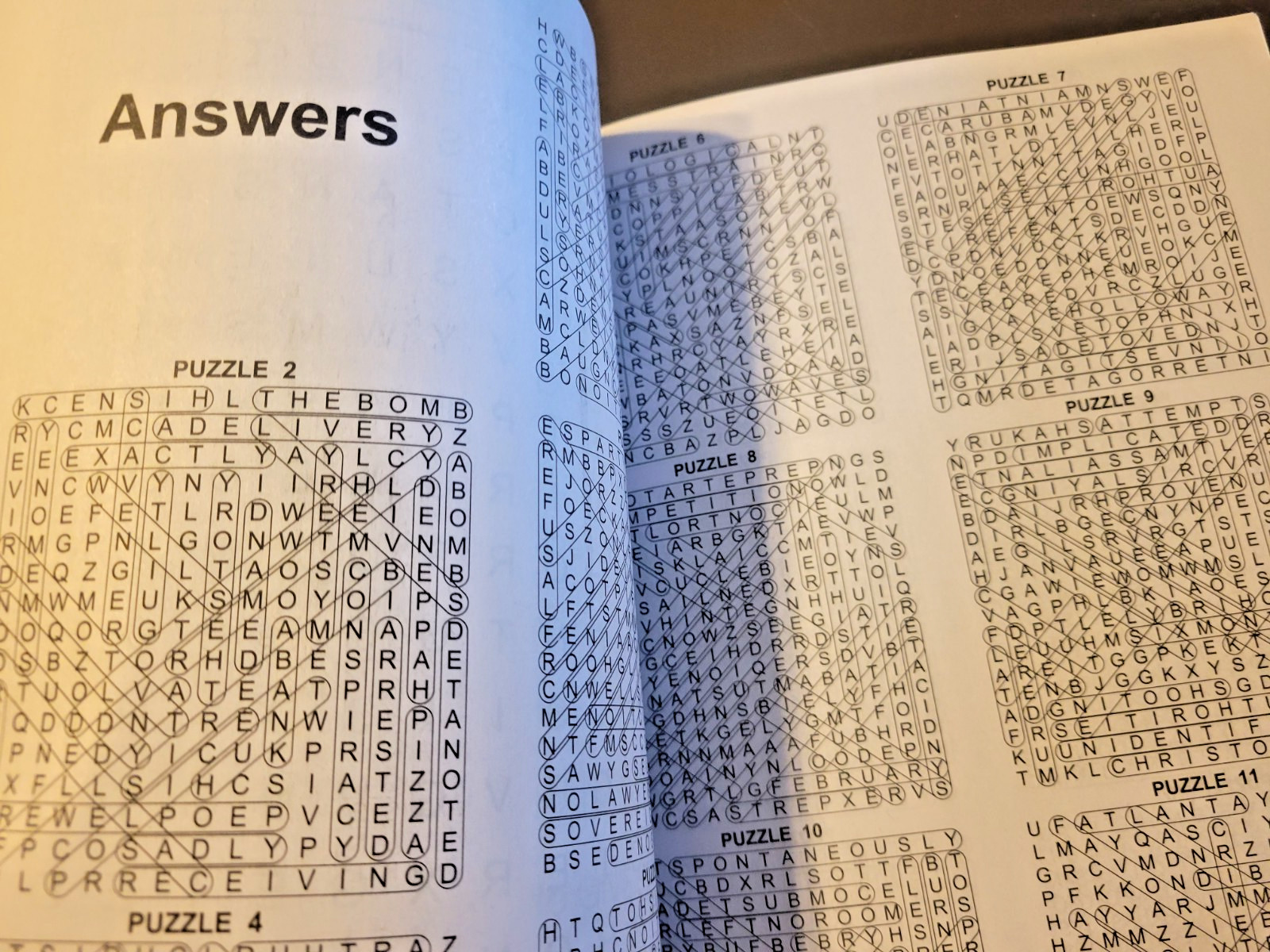 True Crime Word-Finds Large Print Puzzle Book by Kappa