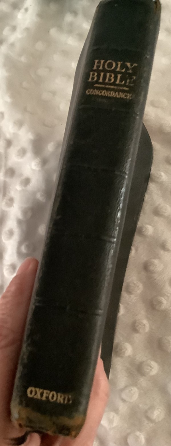 Jasper 16mo Pinseal Kangaroo leather-bound Oxford Bible