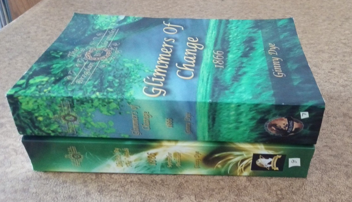 lot of 2 GINNY DYE Historical Fiction THE BREGDAN CHRONICLES #s 7 and 8 1866