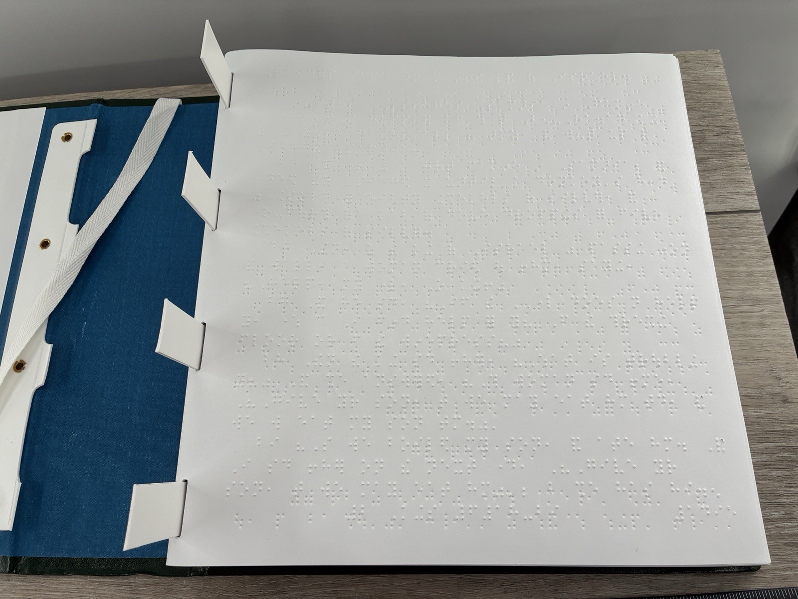 Braille Holy Bible King James Version 1 Kings 2 Kings Green Binder 2019 Printing