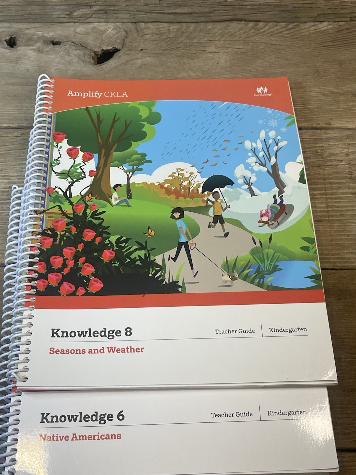 Amplify Core Knowledge CKLA LOT of 9 Books Teacher Guides Grade Level Like New