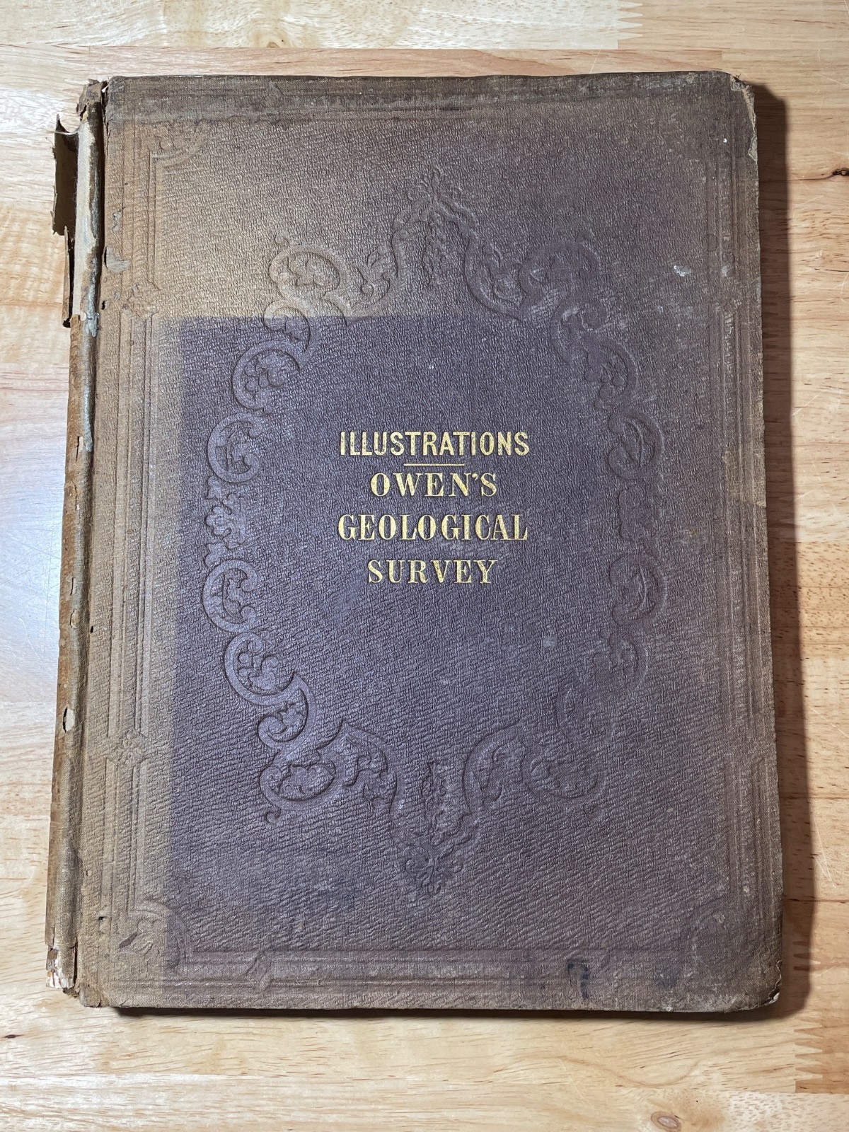 Illustrations to Owen’s Geological Survey 1852 David Dale Owen Wisconsin RARE