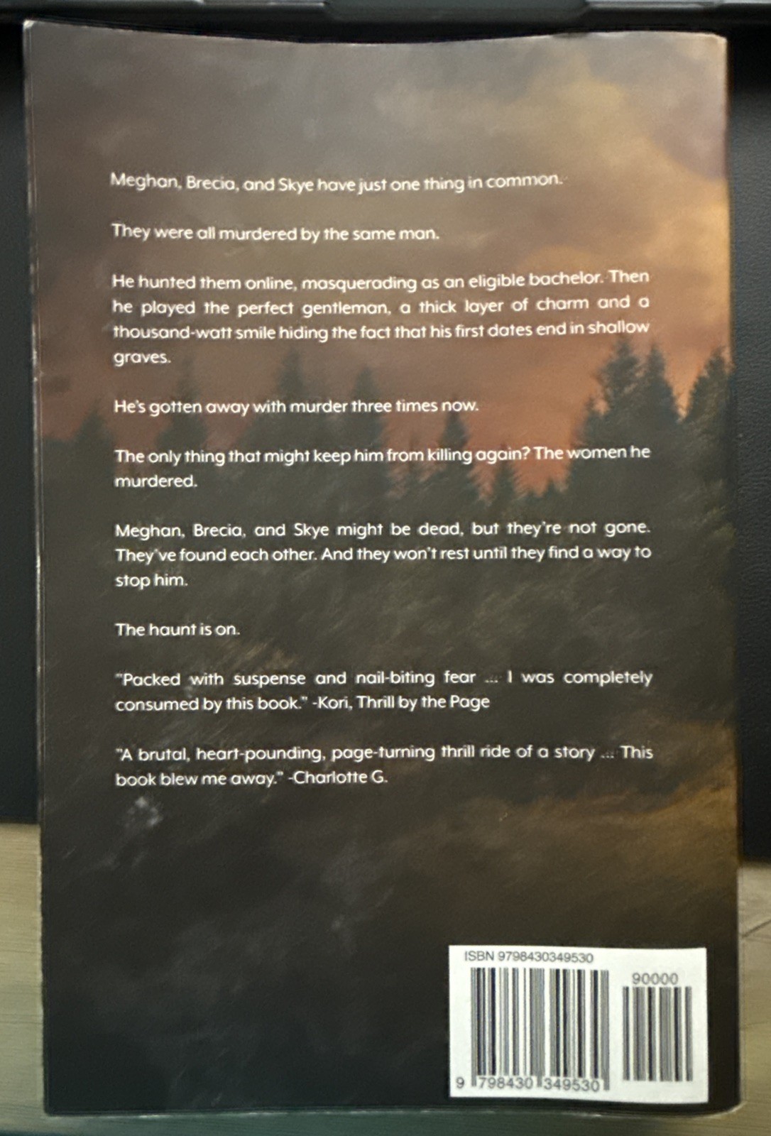 Ask for Andrea by Noelle West Ihli (Paperback)