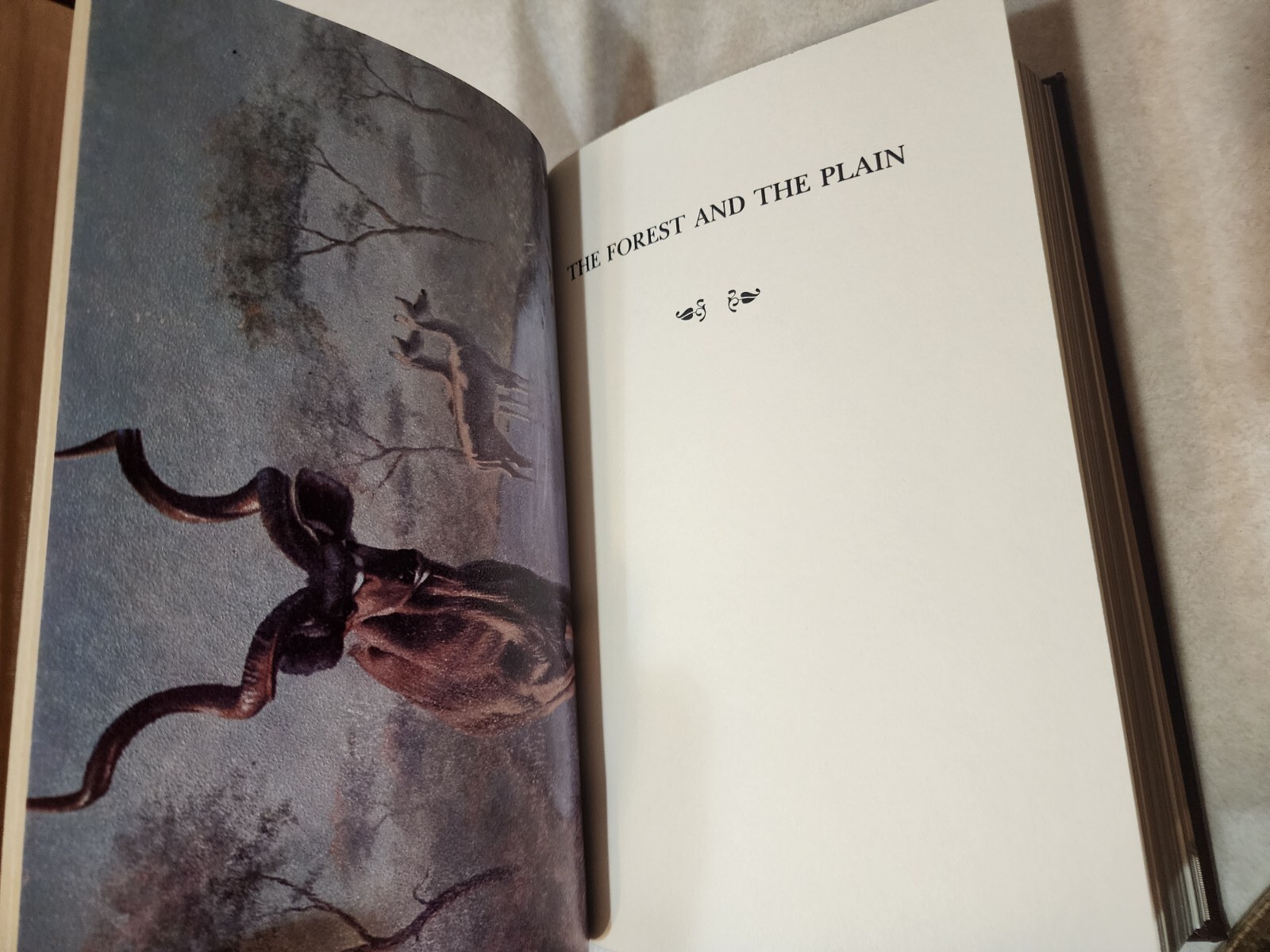 FOREST AND PLAIN John Batten AMWELL PRESS Signed Limited Edition HUNTING Illustr
