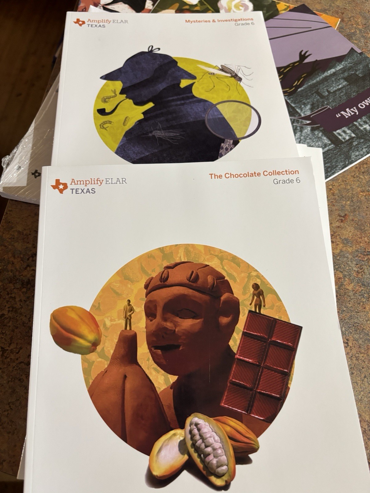 Amplify 6th Grade ELAR Student & Teacher Edition With Activity Book & Posters