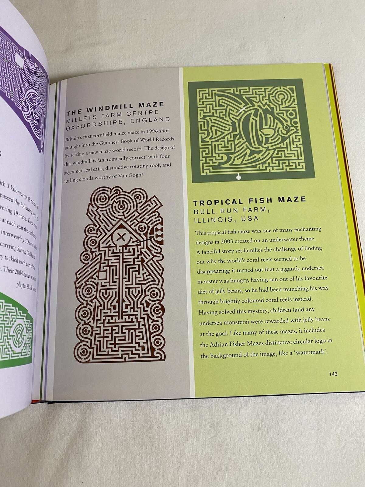 The Amazing Book Of Mazes Adrian Fisher 264 Pages Hardcover 2006