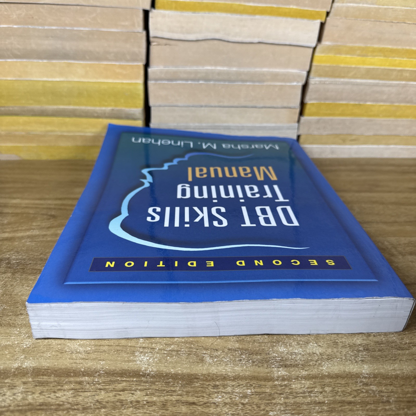 DBT Skills Training Manual, Second Edition by Marsha M. Linehan (2014, Trade