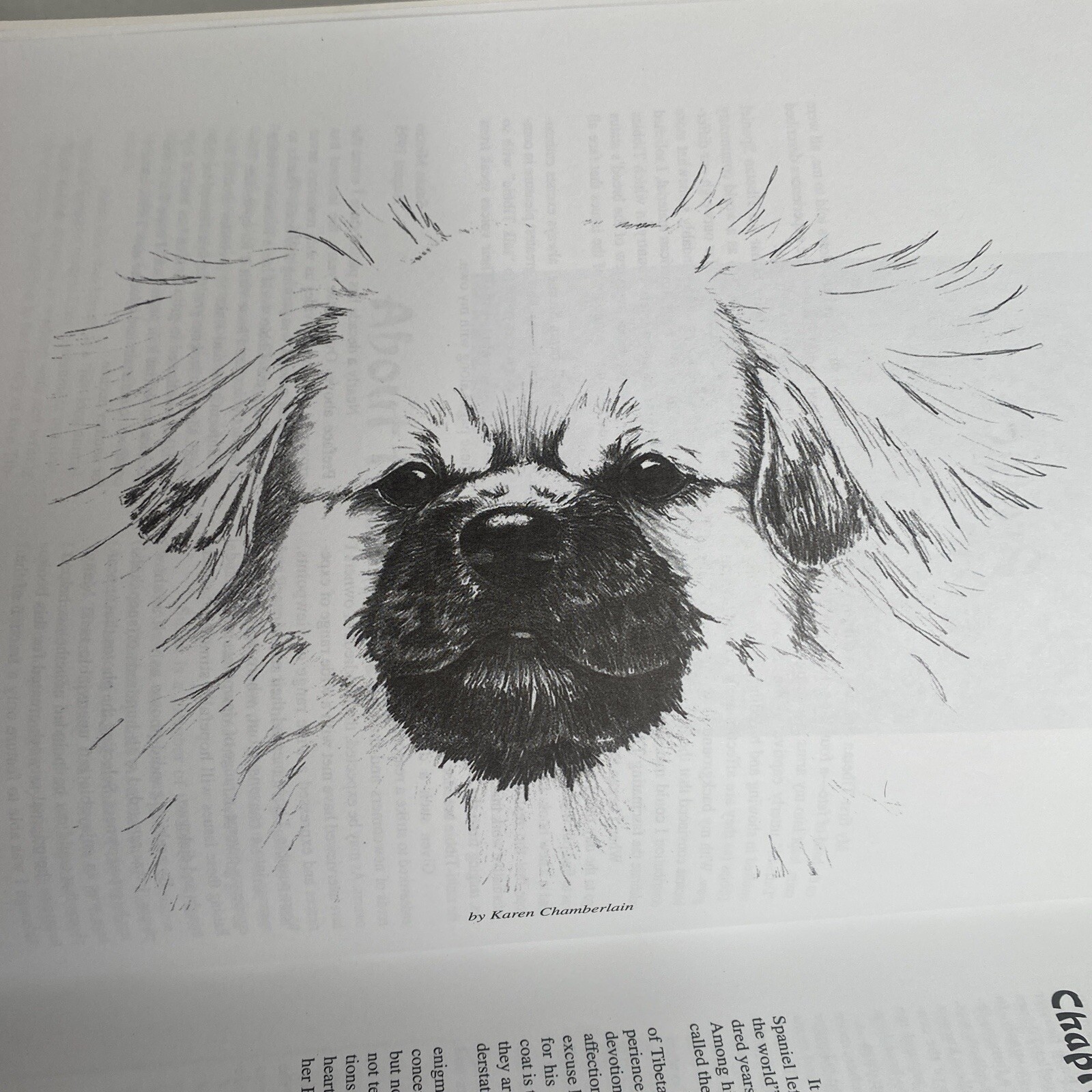 The Tibetan Spaniel: A Gift From The Roof Of The World Susan Miccio 254 pages