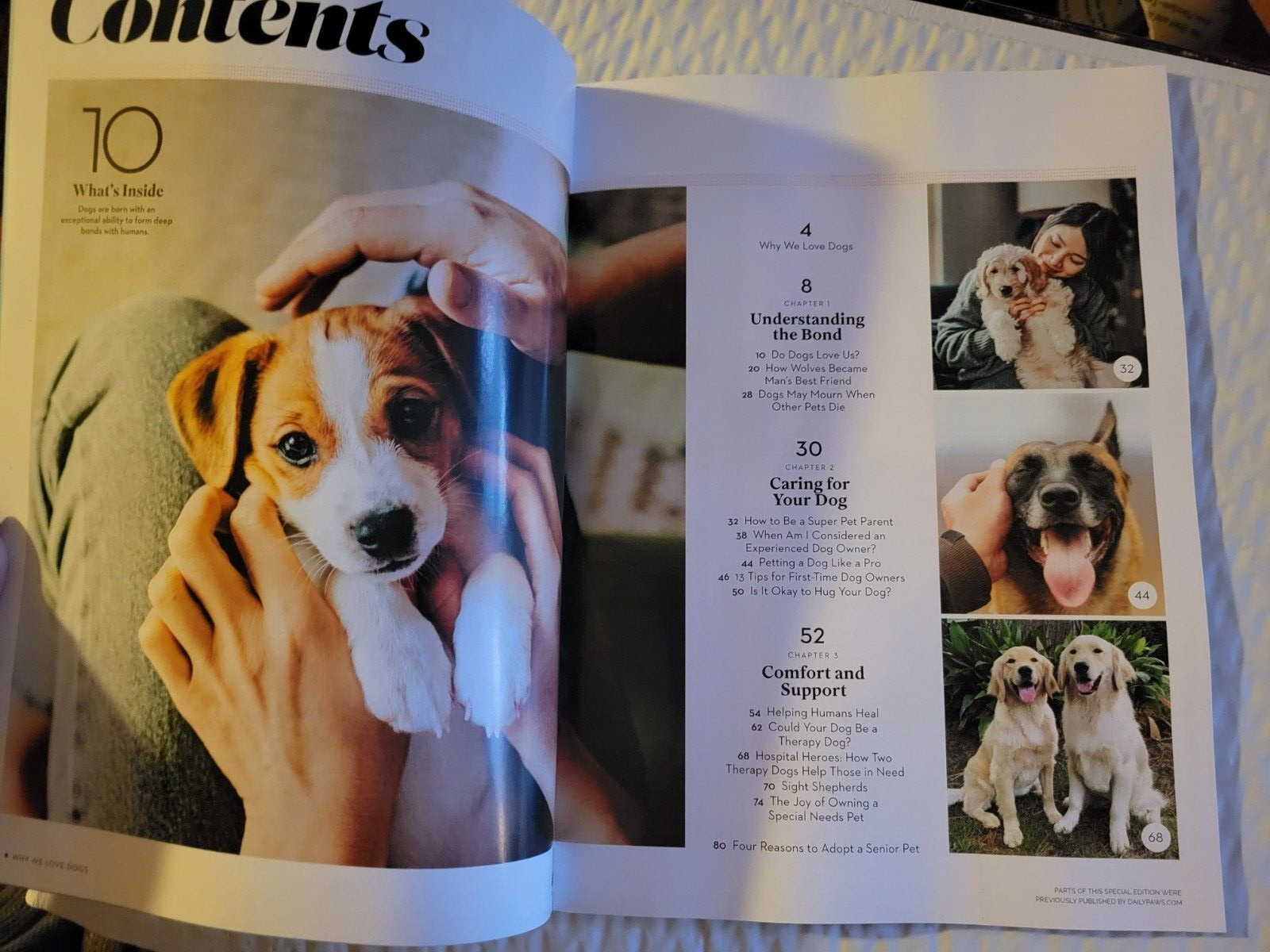 WHY WE LOVE DOGS – Paw Print Special Edition – Help Us Heal – Pet Like a Pro
