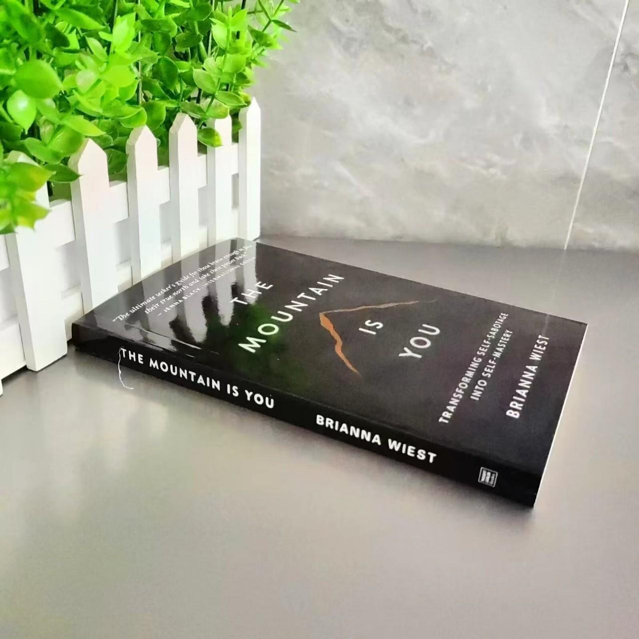 the Mountain Is You: Transforming Self-sabotage into Self-mastery English Books