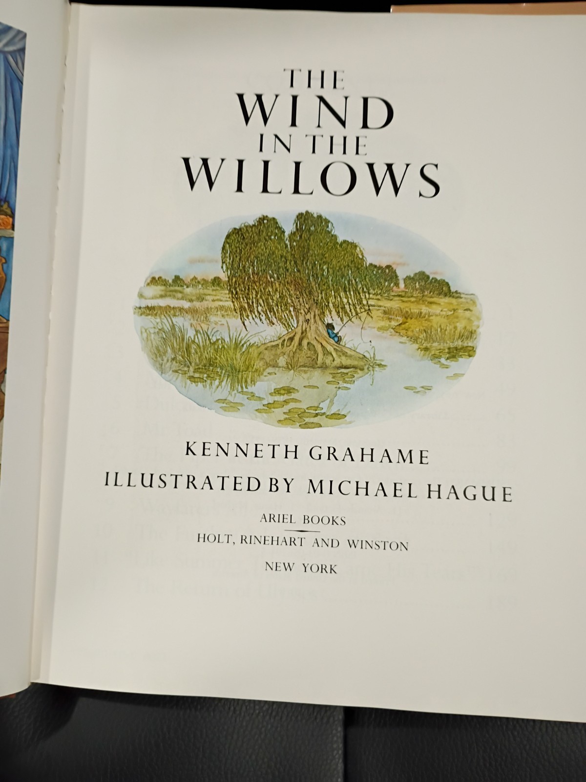 1980 The Wind in the Willows 1st Ed w/ Dust Jacket Kenneth Grahame Michael Hague
