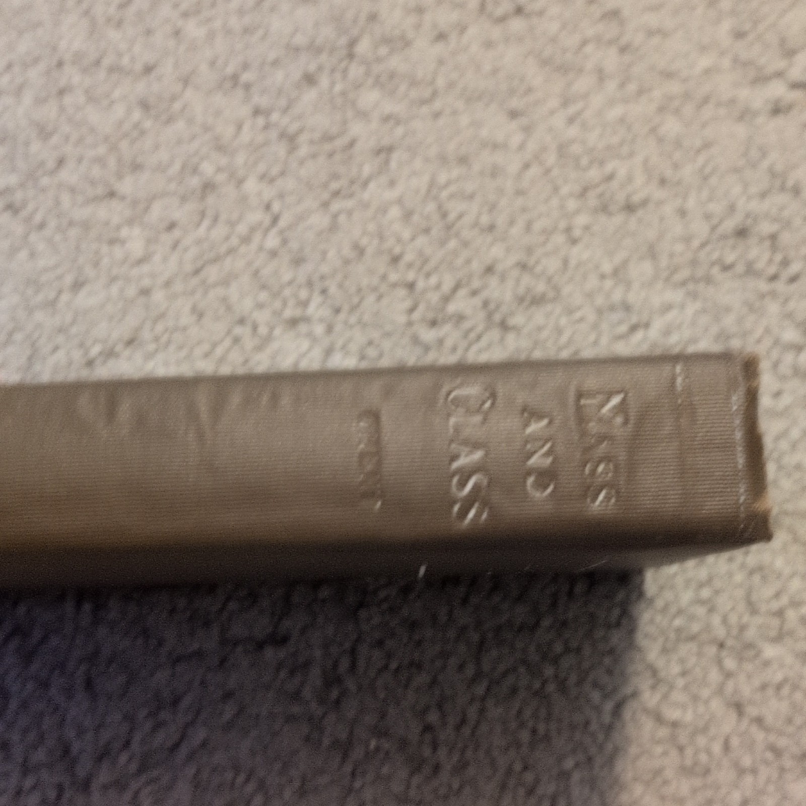 The Macmillan Company Mass and Class W. J. Ghent 1904 Signed Hardcover