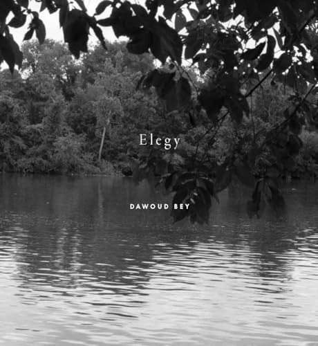 Dawoud Bey: Elegy, Oliver, Bey, Brooks, Perry, Sharpe 9781597115643 New..