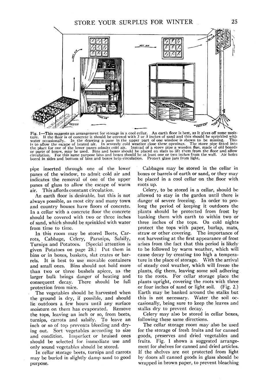 1919 Victory Edition War Gardening And Home Storage of Vegetables