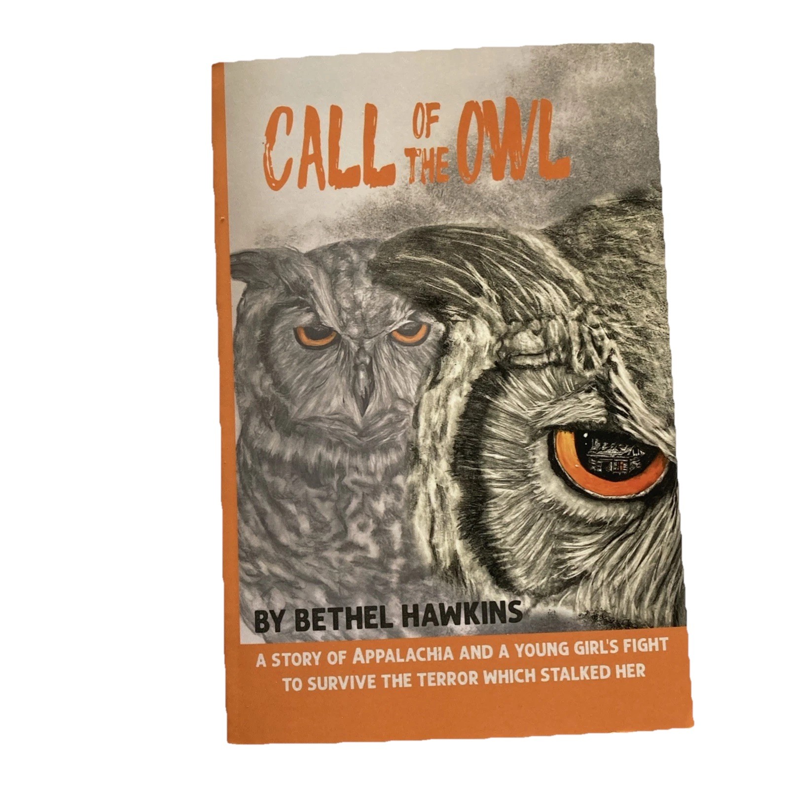 Call of the Owl-NEW Kanawha County West Virginia Appalachia by Bethel Hawkins WV