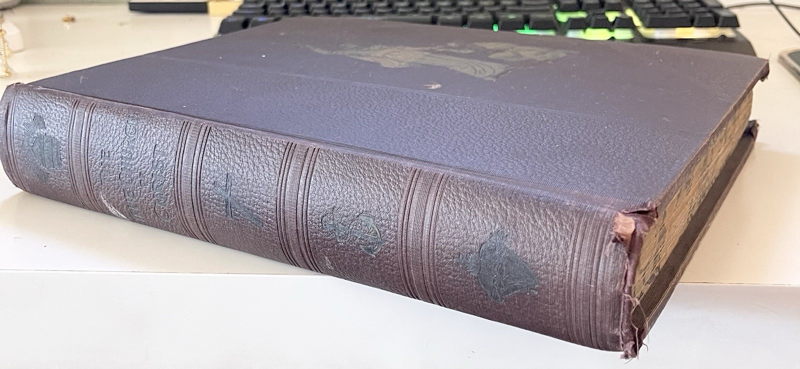 1902 The Catholic Church Alone Five Volumes In One By Rev. M. A. White✝️👀☚☚☚☚☚
