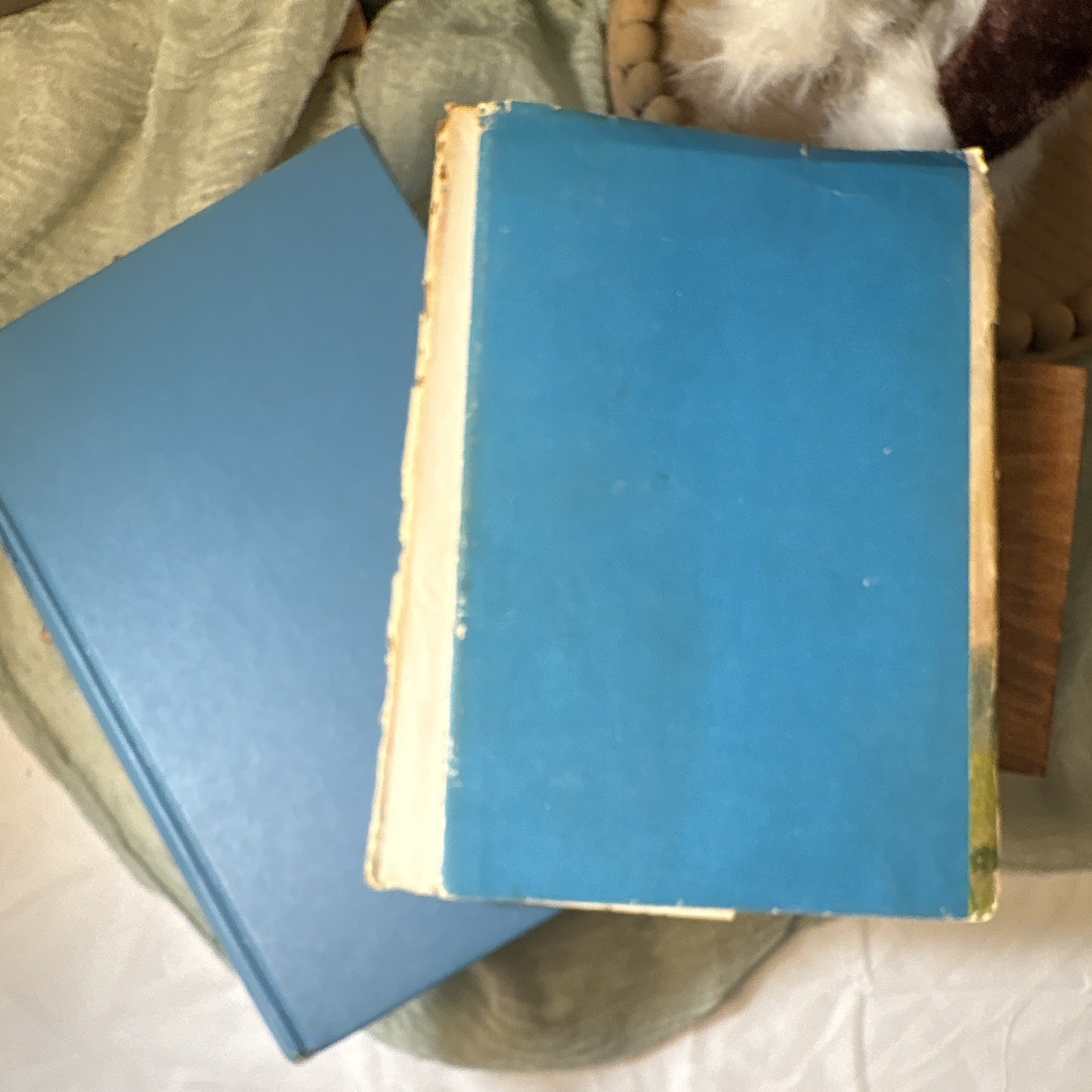 Victoria Holt Menfreya in the Morning HC Dust Jacket Morrow 1966