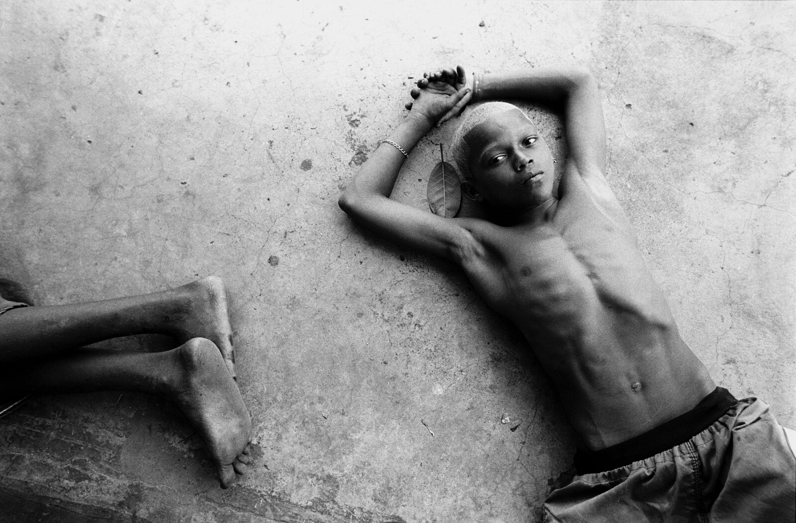 PRE-ORDER Stephen Shames: a lifetime in photography SIGNED will ship January